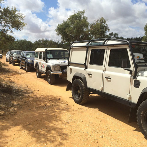 imagen de todoterrenos practicando offroad