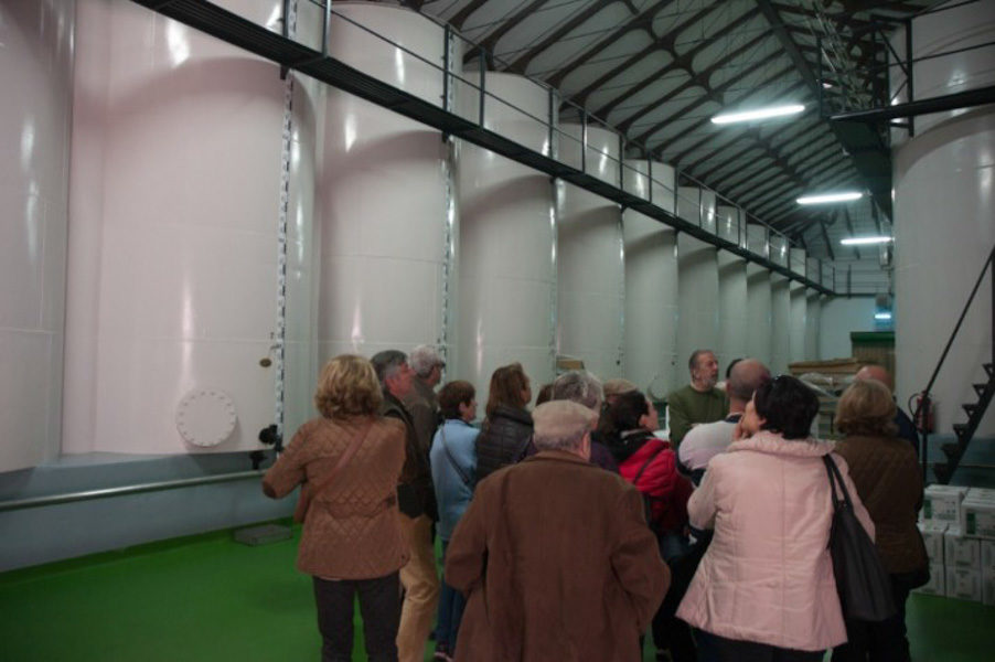 Foto_Ruta_del_Aceite_4 - PEDROCHES WILD LIFE -