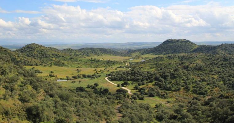 SENDERISMO Tras la huella del Lince (3) - GUIA TA CORDOBA - SENDEROS DE CORDOBA