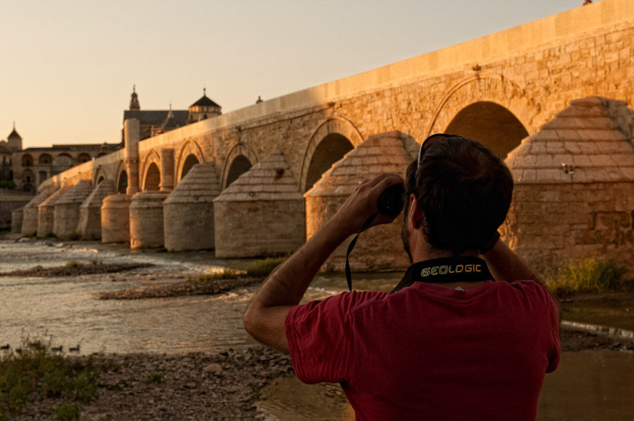 birdwatching_sotos albolafia- GUIA TA CORDOBA - CORDOBA VIVA -