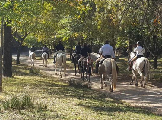 HÍPICA - turismo ecuestre2 - GUIA TA CORDOBA