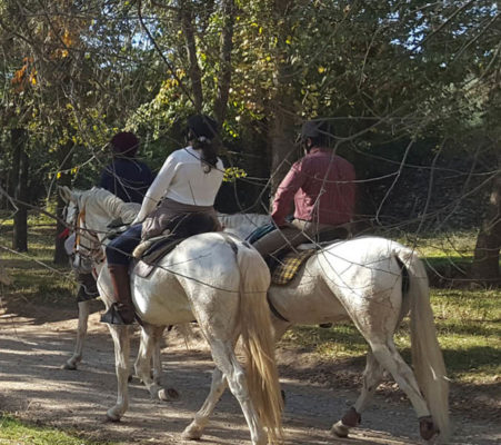 HÍPICA - turismo ecuestre - GUIA TA CORDOBA