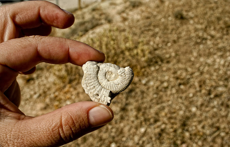ruta geologica la nava- GUIA TA CORDOBA - CORDOBA VIVA -