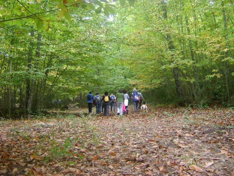 sierra_de cordoba- GUIA TA CORDOBA - CORDOBA VIVA -