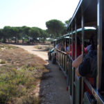 Tren neumático en Huelva