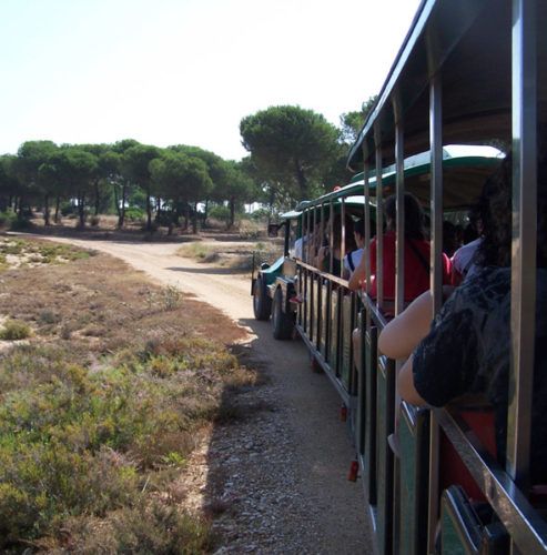 Tren neumático en Huelva