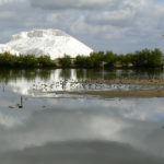 Vista de las marismas de huelva