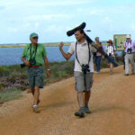Grupo de avistamiento con Platalea
