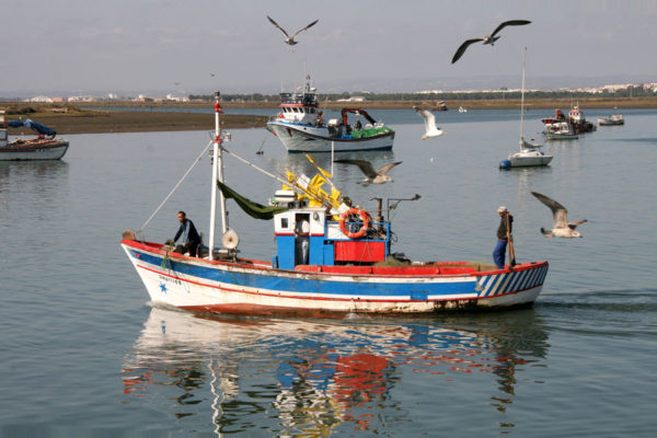 Barco en Corrales - Aljaraque