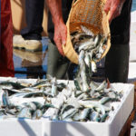 Pesca en Huelva