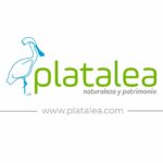 PLATALEA