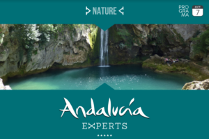 Captura de pantalla 2023-10-20 a las 11.43.43