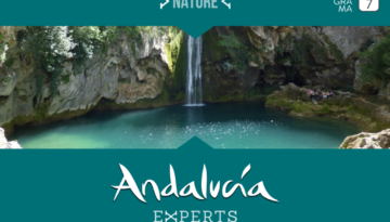 Captura de pantalla 2023-10-20 a las 11.43.43