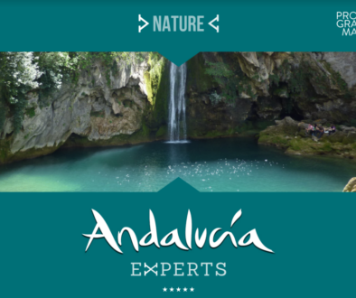 Captura de pantalla 2023-10-20 a las 11.43.43